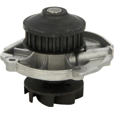 DOLZ S261 Wasserpumpe - Für Fiat DOLZ S261 Wasserpumpe - Für Fiat