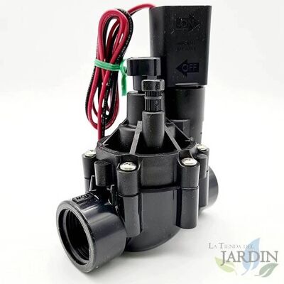 Rain Bird Electroválvula 1'' 9V con Regulador de Caudal Rain Bird Electroválvula 1'' 9V con Regulador de Caudal