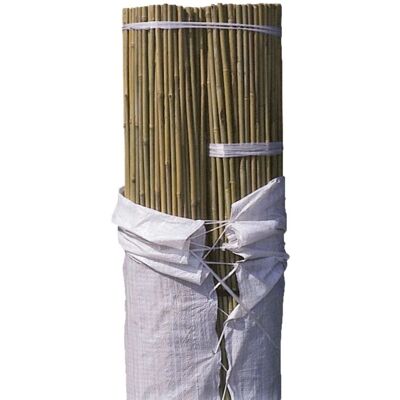 Faura Modelo Soporte de Bambú para Plantas - Guía Natural de Jardín Faura Modelo Soporte de Bambú para Plantas - Guía Natural de Jardín