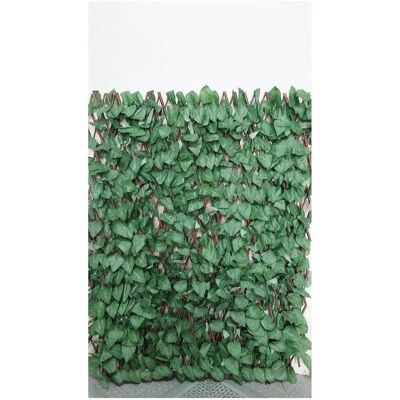 Faura - Celosía de Mimbre Extensible - Hoja de Arce Faura - Celosía de Mimbre Extensible - Hoja de Arce