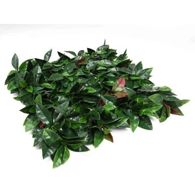 Decoración Vertical Liptus - 100x100 Cm - Gardeneas Decoración Vertical Liptus - 100x100 Cm - Gardeneas