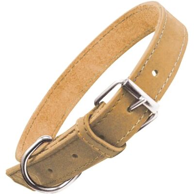 Collier pour Chiens Gloria Oasis Jaune - 65 x 3 cm - Résistant et Élégant - Publicité Collier pour Chiens Gloria Oasis Jaune - 65 x 3 cm - Résistant et Élégant - Publicité