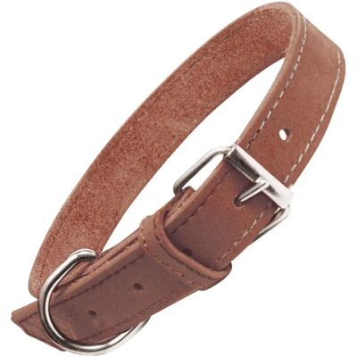 Collier pour Chien Gloria Oasis - Cuir, Boucle, Marron Collier pour Chien Gloria Oasis - Cuir, Boucle, Marron