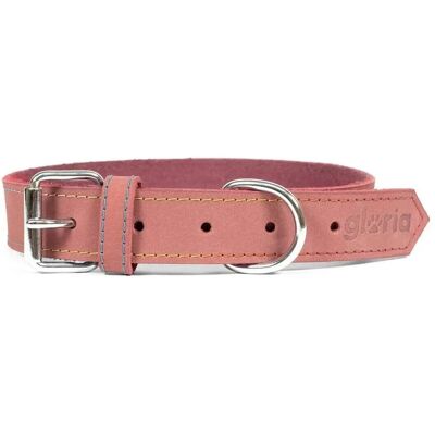 Collier pour Chien Rose Gloria Oasis - Collier pour Chien - Publicité Collier pour Chien Rose Gloria Oasis - Collier pour Chien - Publicité