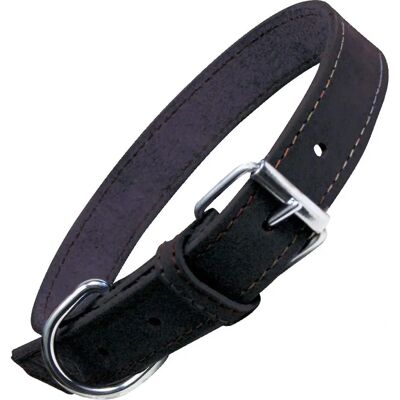Collier pour Chien Gloria Oasis Noir - Publicité Collier pour Chien Gloria Oasis Noir - Publicité