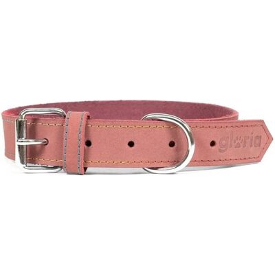 Collier pour chiens Rosa Oasis Gloria - Collier pour chien Collier pour chiens Rosa Oasis Gloria - Collier pour chien