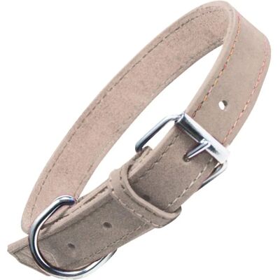 Collier pour Chiens Gloria Oasis Blanc - 50x2.1 cm - Publicité Collier pour Chiens Gloria Oasis Blanc - 50x2.1 cm - Publicité