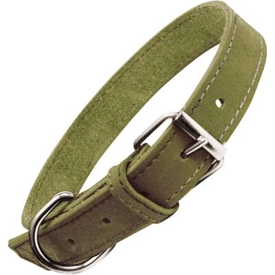 Collier pour Chien Gloria Oasis Vert - 50x2,1 cm - Élégant et Résistant - Publicité Collier pour Chien Gloria Oasis Vert - 50x2,1 cm - Élégant et Résistant - Publicité