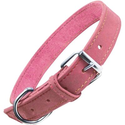 Collier pour Chien Rose Gloria Oasis - Collier pour Chien - Publicité Collier pour Chien Rose Gloria Oasis - Collier pour Chien - Publicité