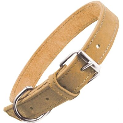 Gloria Oasis Yellow Dog Collar - 60cm - Buckle - Pet Accessory Gloria Oasis Yellow Dog Collar - 60cm - Buckle - Pet Accessory