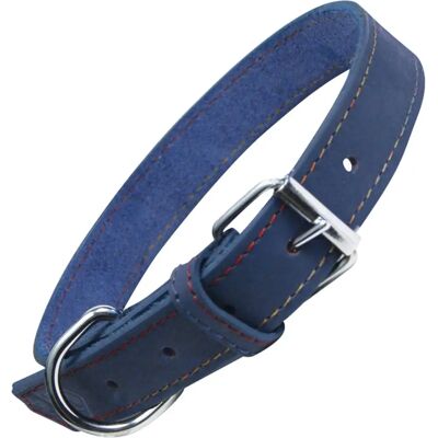 Collare per Cani Gloria Oasis Blu - Collare per cani Collare per Cani Gloria Oasis Blu - Collare per cani