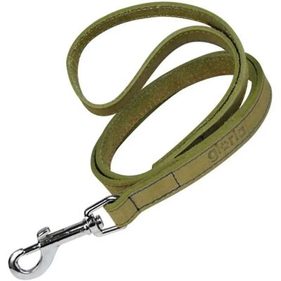 Laisse pour Chien Gloria Oasis 3 x 60 cm - Laisse pour Chien - Publicité Laisse pour Chien Gloria Oasis 3 x 60 cm - Laisse pour Chien - Publicité