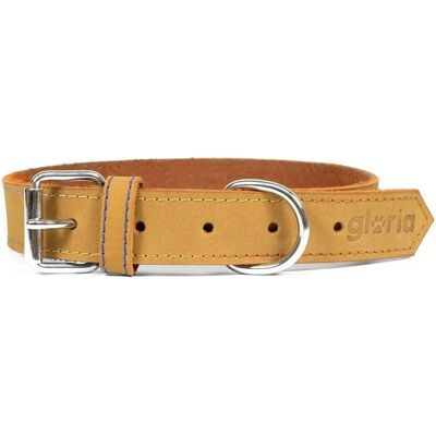 Gloria Oasis Yellow Dog Collar - Adjustable 40cm - Pet Accessory Gloria Oasis Yellow Dog Collar - Adjustable 40cm - Pet Accessory