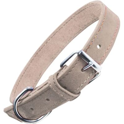 Gloria Oasis White Dog Collar - Dog Collar Gloria Oasis White Dog Collar - Dog Collar