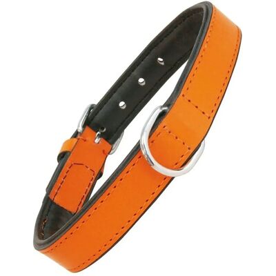 Gloria Pets Orange Padded Dog Collar - Dog Type Gloria Pets Orange Padded Dog Collar - Dog Type