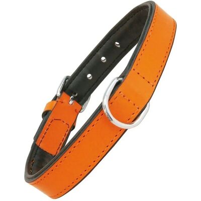 Gloria Pets Orange Padded Dog Collar - Dog Type Gloria Pets Orange Padded Dog Collar - Dog Type