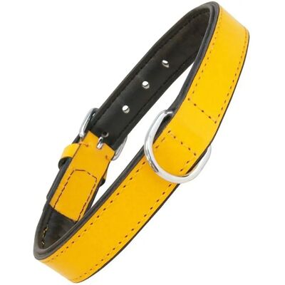 Gloria Pets Yellow Padded Dog Collar - Dog Type Gloria Pets Yellow Padded Dog Collar - Dog Type