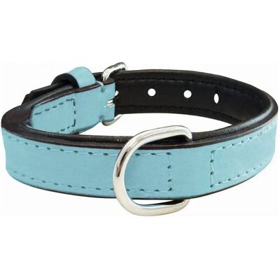 Gloria Pets Blue Padded Dog Collar - Dog Collar Gloria Pets Blue Padded Dog Collar - Dog Collar