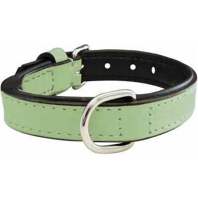 Gloria Dog Padded Green Collar - Dog Collar Gloria Dog Padded Green Collar - Dog Collar