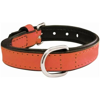 Gloria Padded Coral Dog Collar - Small/Medium Gloria Padded Coral Dog Collar - Small/Medium