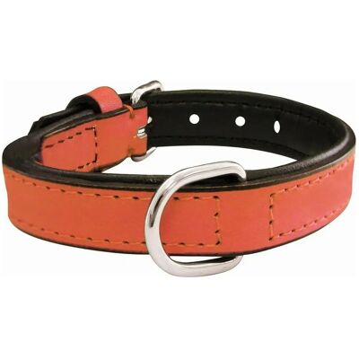 Collier pour Chien Coral Rembourré Gloria - Collier pour Chien - Publicité Collier pour Chien Coral Rembourré Gloria - Collier pour Chien - Publicité