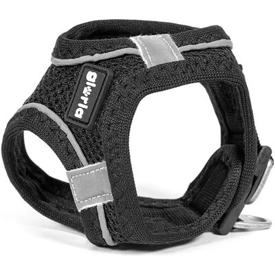 Gloria Air Mesh Trek Star XXXS Hundegeschirr Gloria Air Mesh Trek Star XXXS Hundegeschirr