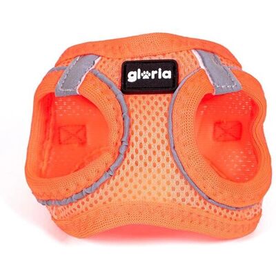 Gloria Pets Trek Star Orange Harness - Dog Gloria Pets Trek Star Orange Harness - Dog