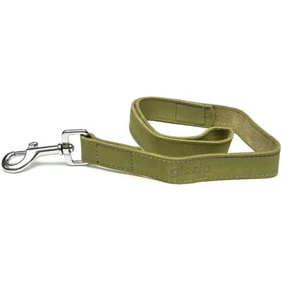 Gloria Oasis Dog Lead - Nylon, Green, 100cm Gloria Oasis Dog Lead - Nylon, Green, 100cm