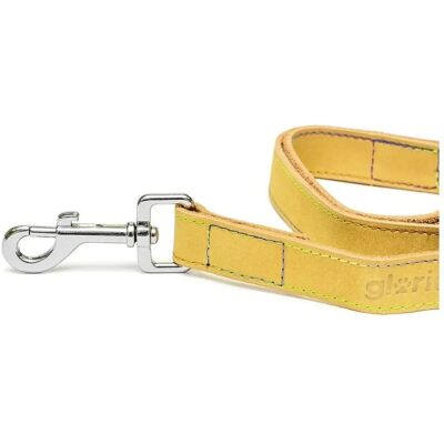 Guinzaglio per Cani Gloria Oasis - Giallo - 3x60 cm Guinzaglio per Cani Gloria Oasis - Giallo - 3x60 cm