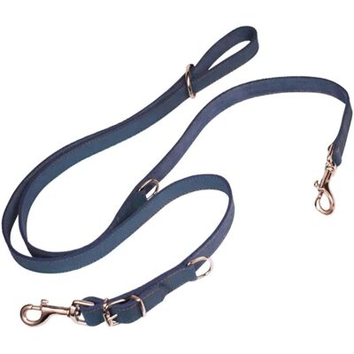 Laisse pour Chien Gloria Oasis Multiple 2.1 x 200 cm - Résistante & Élégante - Publicité Laisse pour Chien Gloria Oasis Multiple 2.1 x 200 cm - Résistante & Élégante - Publicité