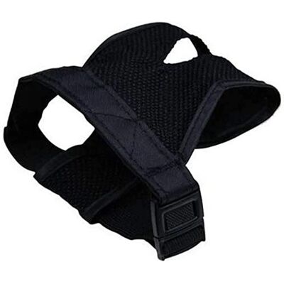 Culottes pour chiens Gloria - 24-31 cm - Sous-vêtements pour chiens Culottes pour chiens Gloria - 24-31 cm - Sous-vêtements pour chiens