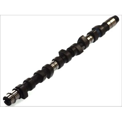 Albero a camme AMC 647012 - Transporter 4 Albero a camme AMC 647012 - Transporter 4