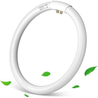 Aigostar G10q T9 32W Leuchtstofflampe - Leuchtstofflampe Aigostar G10q T9 32W Leuchtstofflampe - Leuchtstofflampe