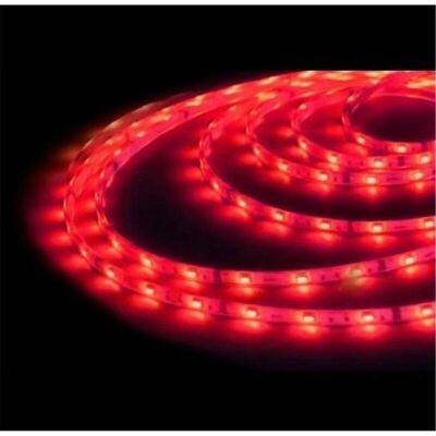Rotolo LED GSC Evolution 5M Rosso IP20 24V Rotolo LED GSC Evolution 5M Rosso IP20 24V