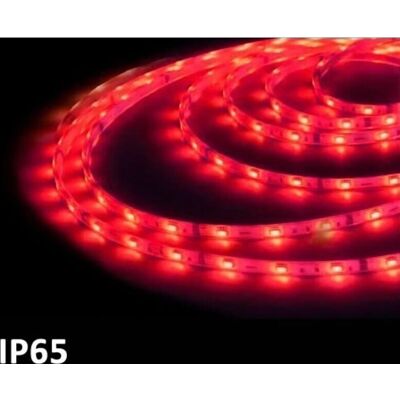 GSC 5m Fila LED Rossa SMD5050 - Fila LED GSC 5m Fila LED Rossa SMD5050 - Fila LED