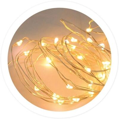 GSC - Ghirlanda di luci LED a batteria 2m - Bianco caldo GSC - Ghirlanda di luci LED a batteria 2m - Bianco caldo