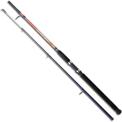 Caña de jigging ligera Sugoi Tempesta - Equipo de pesca Caña de jigging ligera Sugoi Tempesta - Equipo de pesca