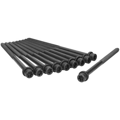 Ajusa Modèle 81053300 Jeu de vis de culasse - M12, 10 pièces Ajusa Modèle 81053300 Jeu de vis de culasse - M12, 10 pièces