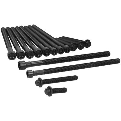 AJUSA 81055900 - Jeu de boulons de culasse pour BMW AJUSA 81055900 - Jeu de boulons de culasse pour BMW