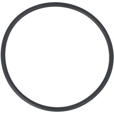 AJUSA 16565300 Filtre à carburant - Filtre à carburant AJUSA 16565300 Filtre à carburant - Filtre à carburant
