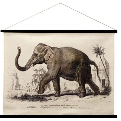 Signes Grimalt - Tableau mural éléphant en toile - Kaki - 2x100x75cm - Publicité Signes Grimalt - Tableau mural éléphant en toile - Kaki - 2x100x75cm - Publicité