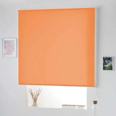 Naturals Naranja Ciega de Rollo Transparente - Ciega de Rollo Naturals Naranja Ciega de Rollo Transparente - Ciega de Rollo