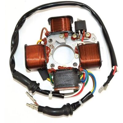 SGR Model - Magnetic Field Stator - Motorcycle Accessory SGR Model - Magnetic Field Stator - Motorcycle Accessory