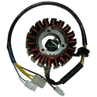 Stator SGR - Générateur électrique pour Leonardo/Scarabeo Aprilia - Publicité Stator SGR - Générateur électrique pour Leonardo/Scarabeo Aprilia - Publicité