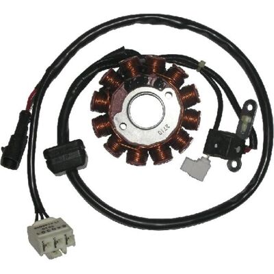 Stator Vespa Piaggio - Compatible avec 125/150 S / lx Ie & 125 LX Hexagon 2011-2013 - Publicité Stator Vespa Piaggio - Compatible avec 125/150 S / lx Ie & 125 LX Hexagon 2011-2013 - Publicité