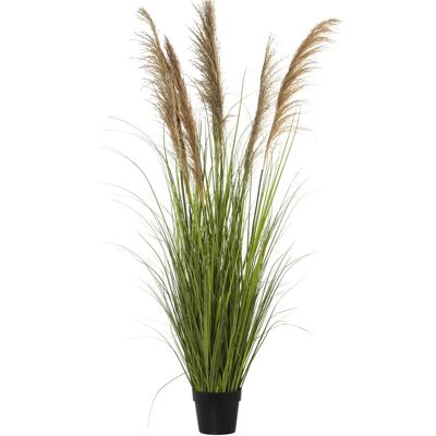 DRW Kunstmatige rietplant - Groen natuurlijk - 173x25x25 cm - Kunstplant DRW Kunstmatige rietplant - Groen natuurlijk - 173x25x25 cm - Kunstplant
