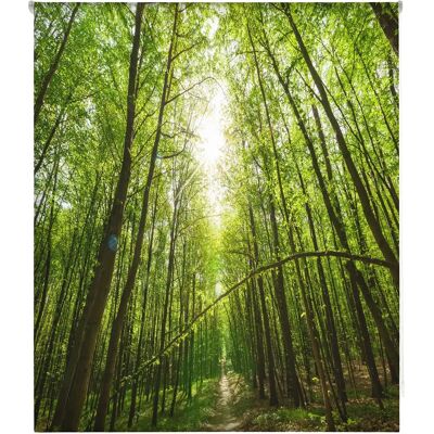 Blindecor W-P-48493 - Cyfrowa przezroczysta roleta 130x180cm Blindecor W-P-48493 - Cyfrowa przezroczysta roleta 130x180cm