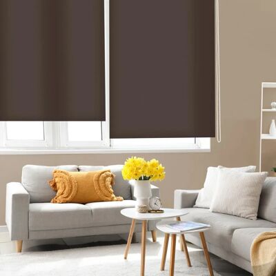BLINDECOR Ara Volet roulant - Marron foncé - Translucide - 100x250 cm BLINDECOR Ara Volet roulant - Marron foncé - Translucide - 100x250 cm