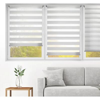 Tenda a rullo Blindecor Indus - Facile da installare, 130x130cm, Grigio Argento Tenda a rullo Blindecor Indus - Facile da installare, 130x130cm, Grigio Argento
