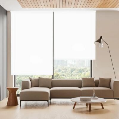Blindecor - Estor translúcido liso - Roller blind Blindecor - Estor translúcido liso - Roller blind